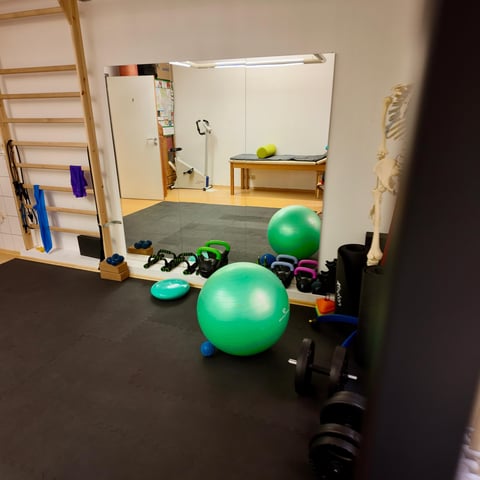 Home fitness studio with green exercise balls, dumbbells, and equipment on dark flooring with mirrors and wooden ladder visible